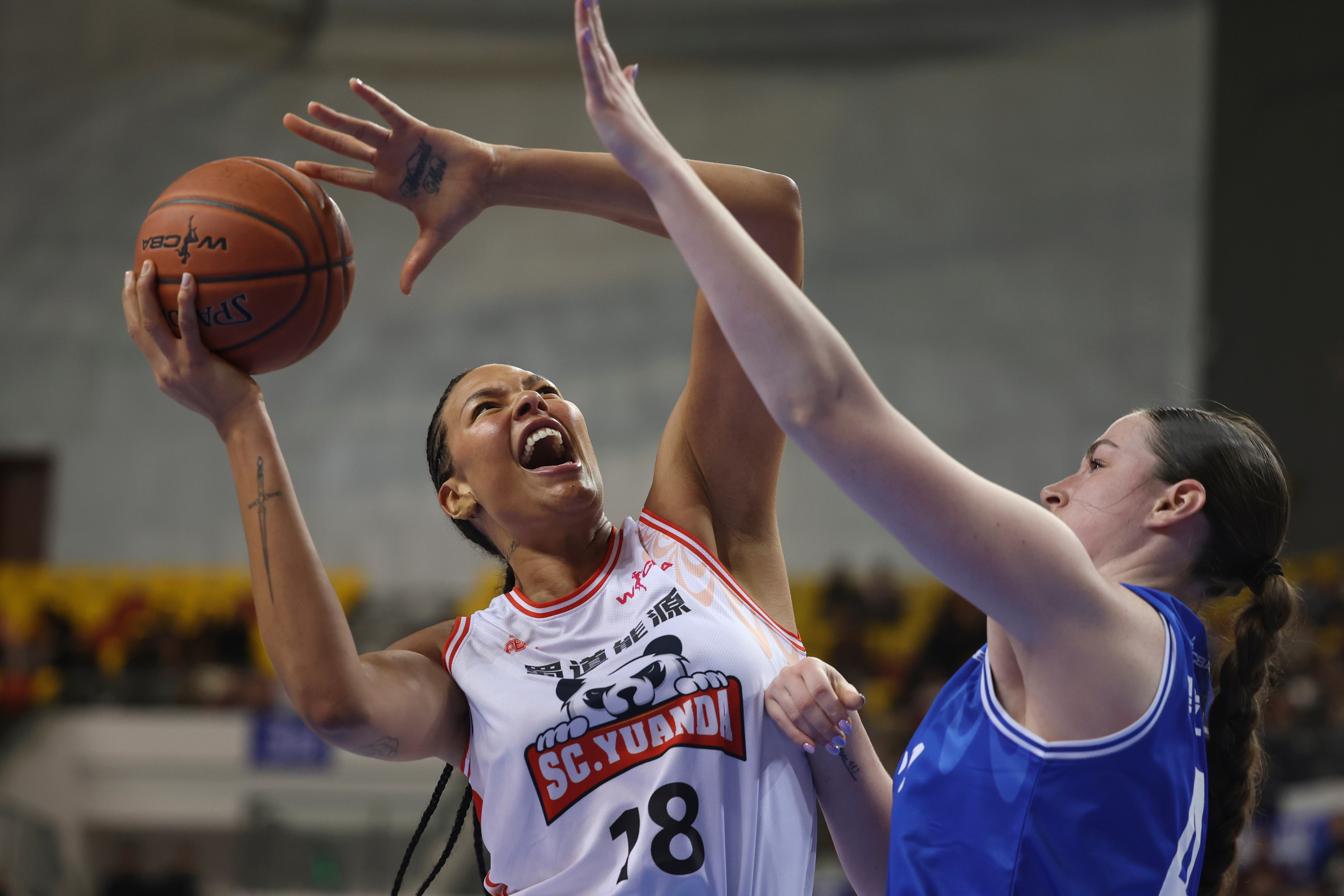 四川男篮连胜收官，季后赛状态火爆