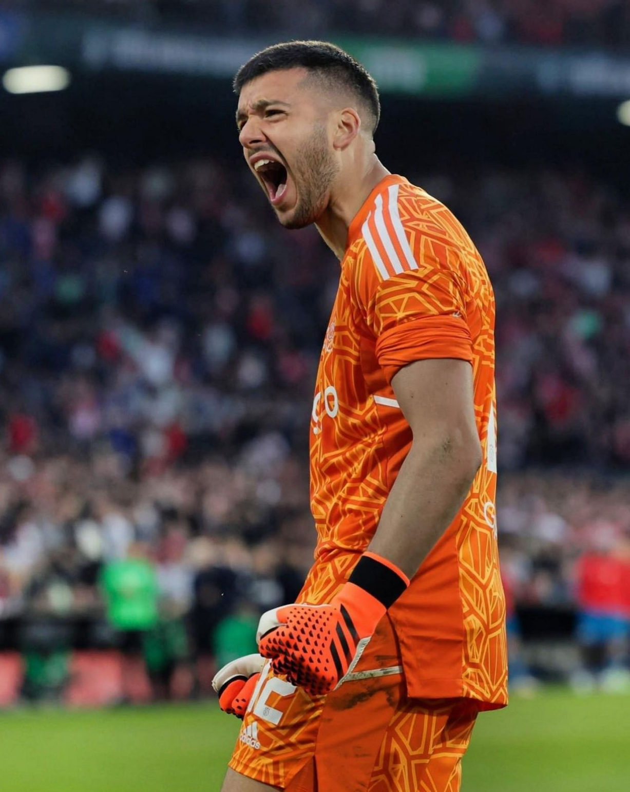 秘鲁队在足球比赛中取得里程碑式胜利 秘鲁队在足球比赛中取得里程碑式胜利