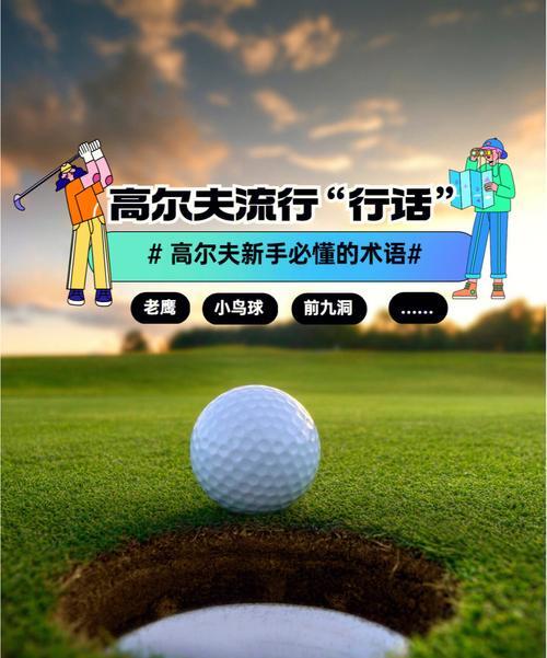 开云平台-国王连败不止，福克斯奋力却无果