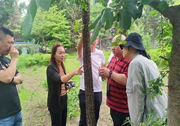 摩贝尔不敌强敌，状态出现疲软迹象的简单介绍