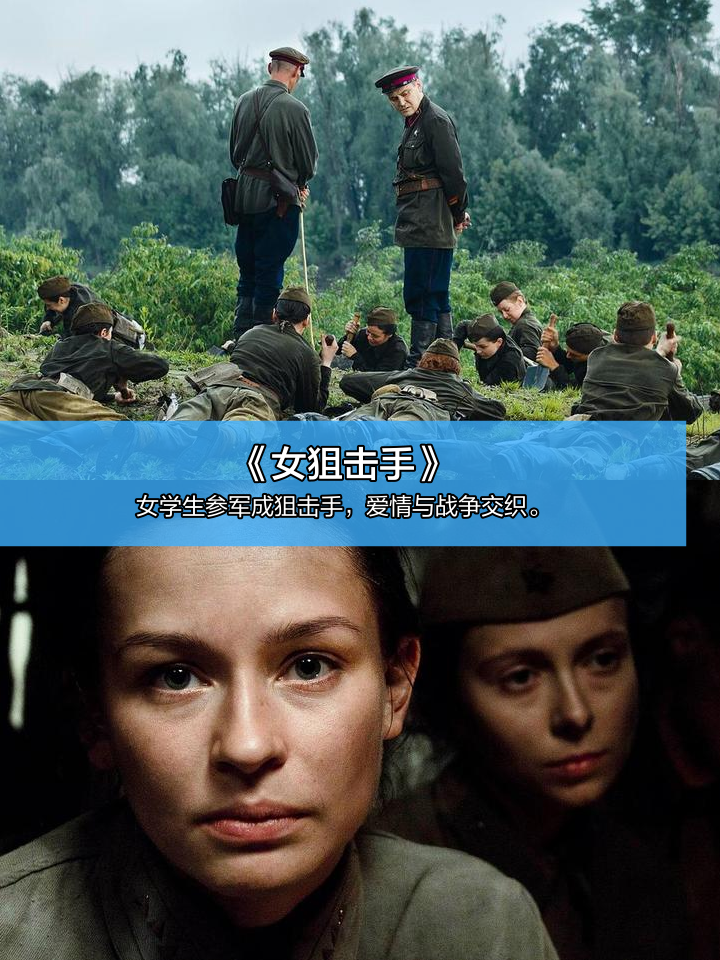 铁血较量：硝烟弥漫下的对决，精彩绝伦的简单介绍