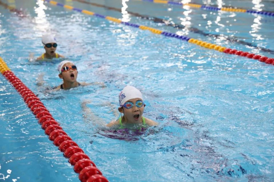 开云体育在线-男子游泳项目惊现黑马，惊艳全场