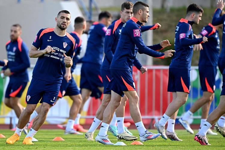 尼斯球队在法国联赛中展现出实力