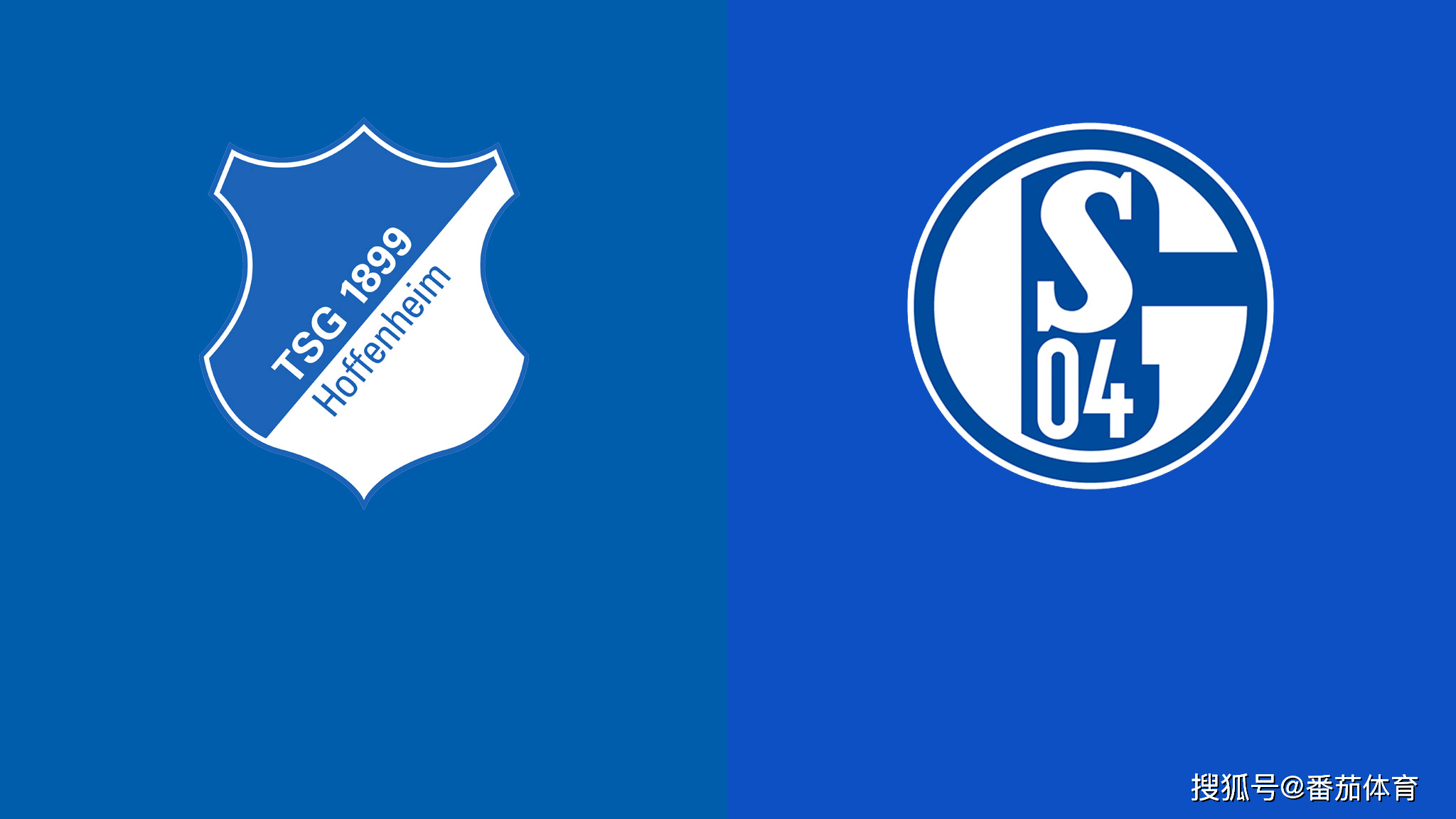 开云体育登录-沙尔克：岿然不动，迎战步伐稳健