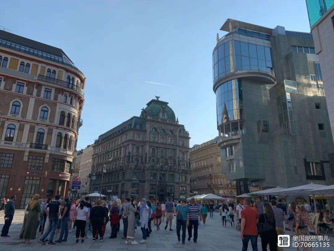 奥地利女足球队全员出席新闻发布会