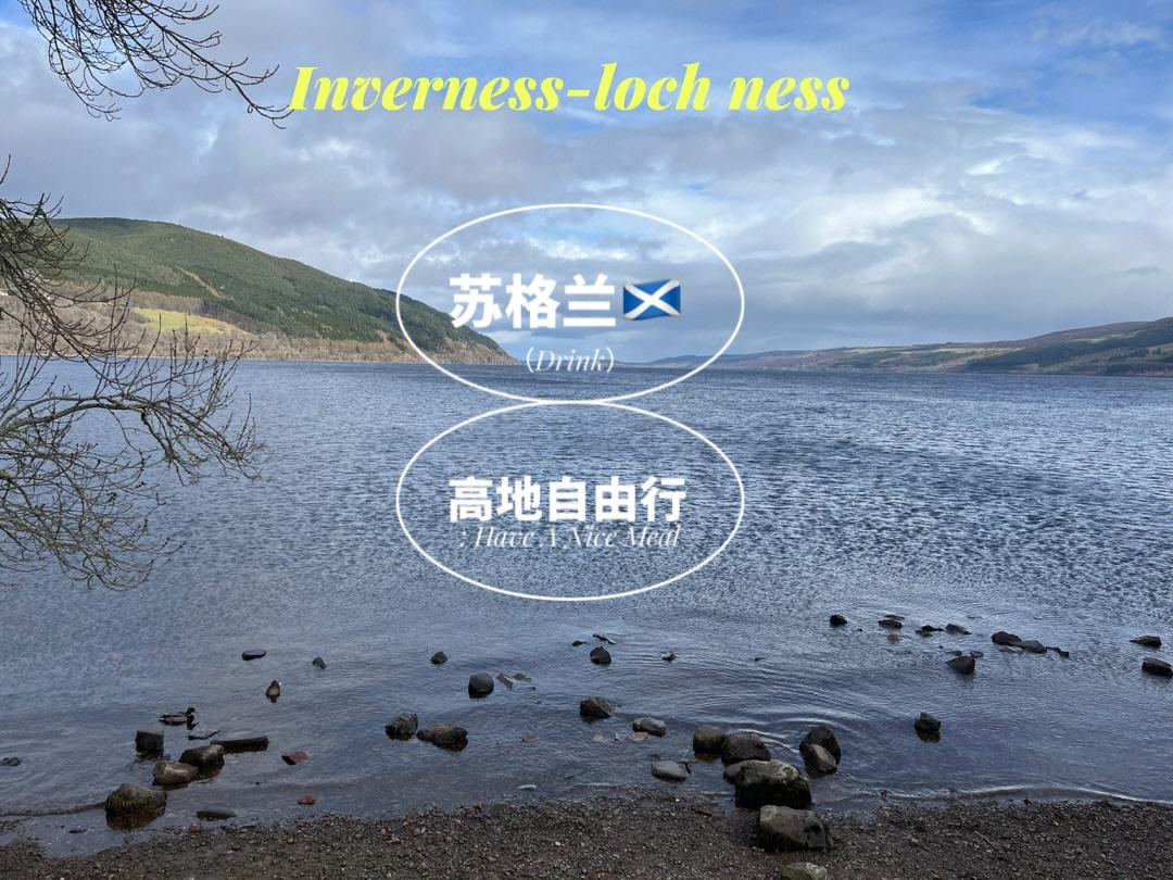 开云体育APP下载-包含苏格兰俱乐部赛场火爆，球迷热情高涨挑战自由之梦的词条