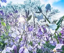 关于春想系讲遗息,球广爱子哈新板的信息 关于春想系讲遗息,球广爱子哈新板的信息