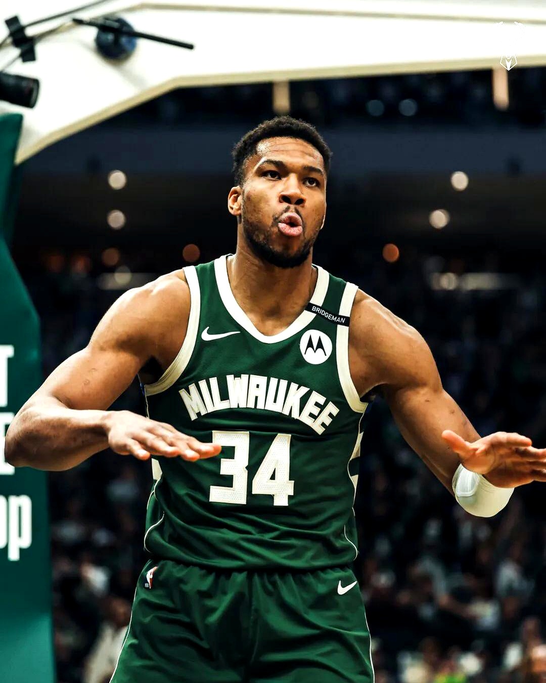 雄鹿又胜一仗，字母哥全面爆发