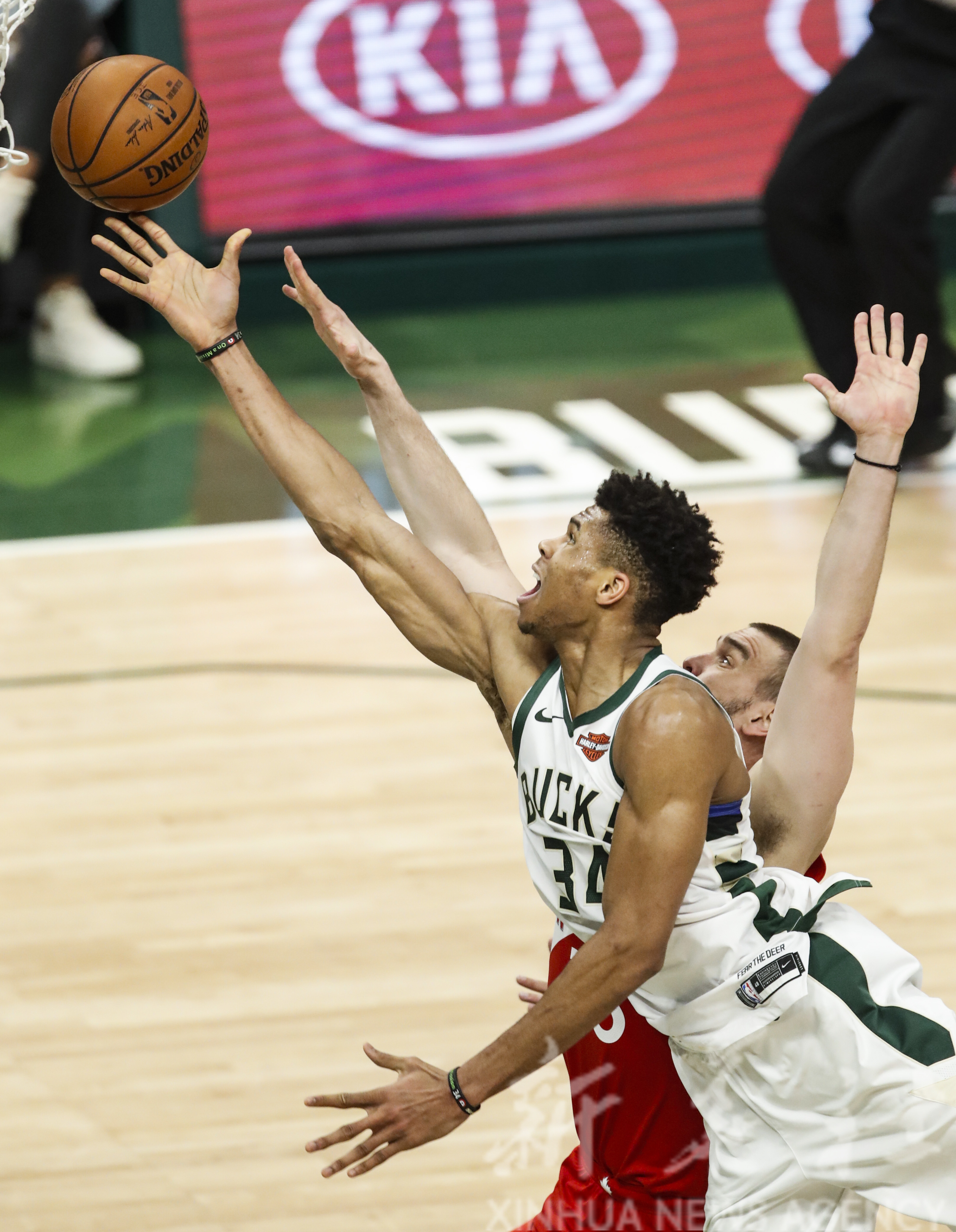 开云体育登录-猛龙强势胜活塞，球队备战季后赛信心十足的简单介绍