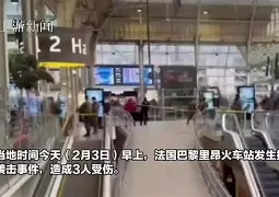 开云平台-里昂顶住巴黎围剿，功败垂成