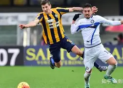 开云下载-辛根根斯取得胜利，球员们士气高涨不已