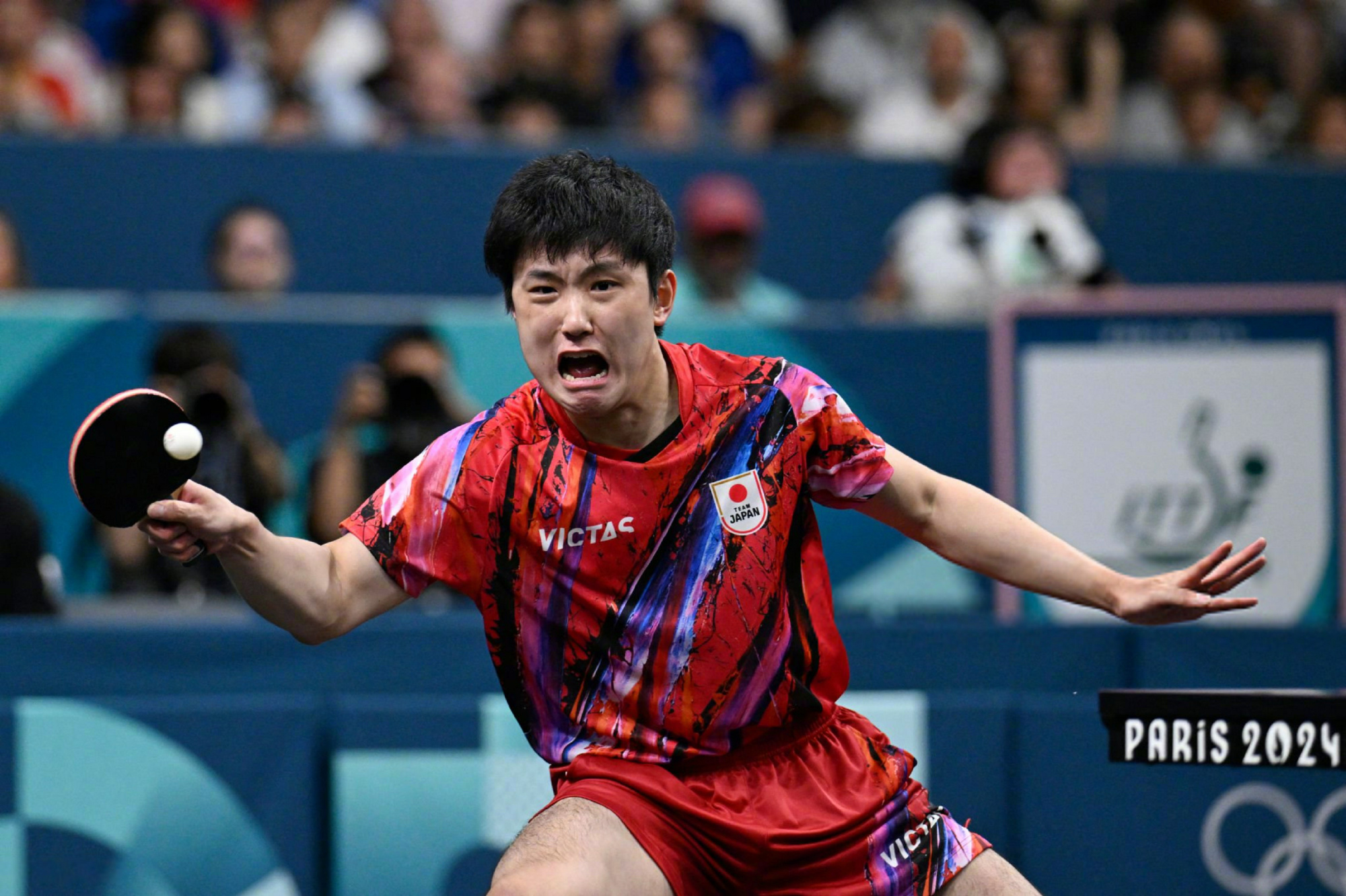 开云体育app-关于中国队横扫奥地利队，张本智和统治全场的信息